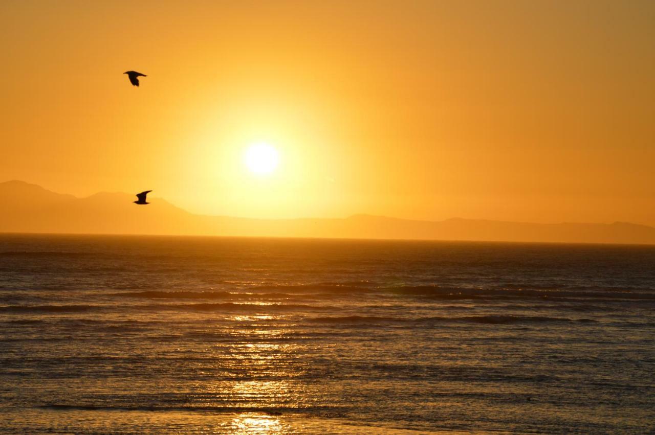 Ocean View 201a *